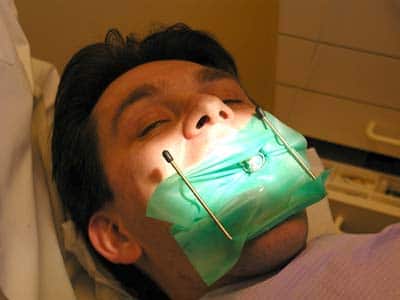 Fly or Have a Root Canal?
